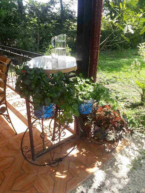 Guest House Danelia Martvili Exterior foto
